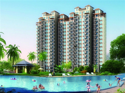 百鸟朝凤港式鸡煲火锅