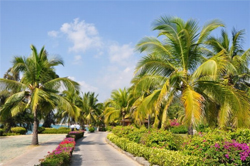 靓车洁汽车美容