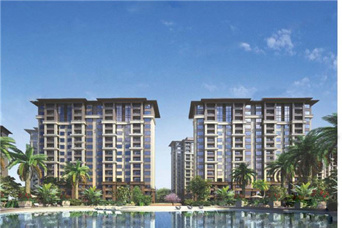 美颜素猪肚鸡汤