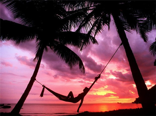 成记椒颜酸菜小鱼