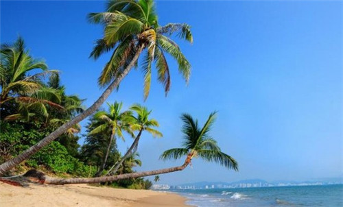 怎么加盟巨豹堂奶茶开店，巨豹堂奶茶加盟需要具备什么条件