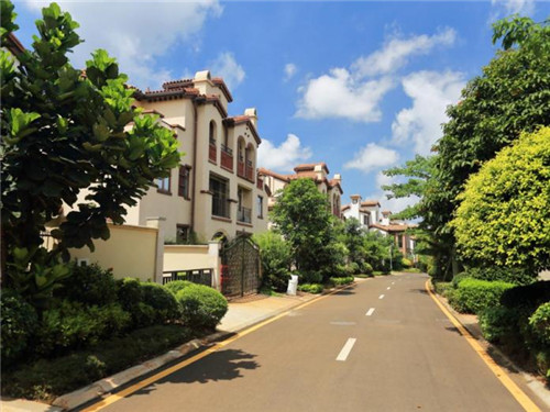 在吐鲁番市加盟盾皇奶茶开店大约是多少钱，在吐鲁番市适合夫妻两个开的奶茶项目有哪些推荐