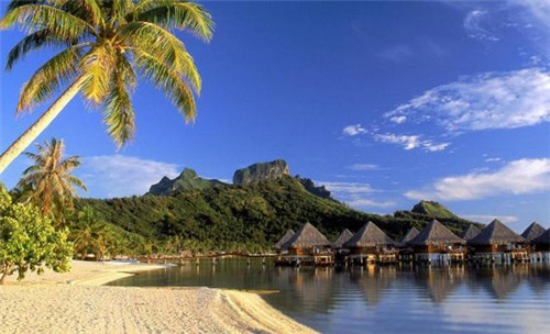 知秋轩楼盘评测（知秋新书）