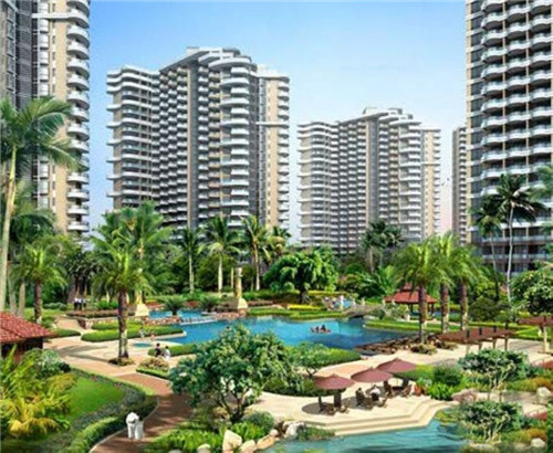 焗蟹宝美食介绍（焗蟹煲的做法窍门）