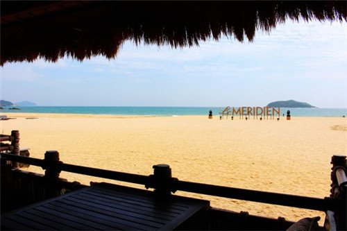 炒豆角炒鸡腿肉怎么炒（豆角炒鸡肉图片）