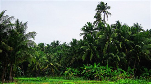 抖音玩过的小游戏（抖音小游戏）