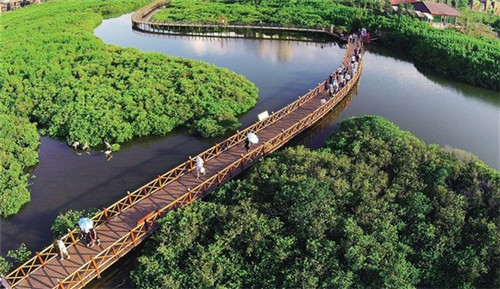 煚字起名字是什么意思（晫字起名的意思是什么）