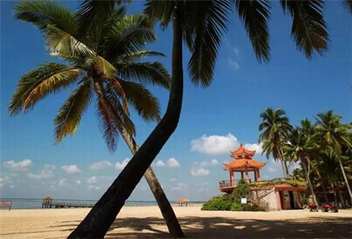 嘉峪关市加盟可可多冰淇淋正常几年盈利，2026年还能在嘉峪关市开冰淇淋店吗